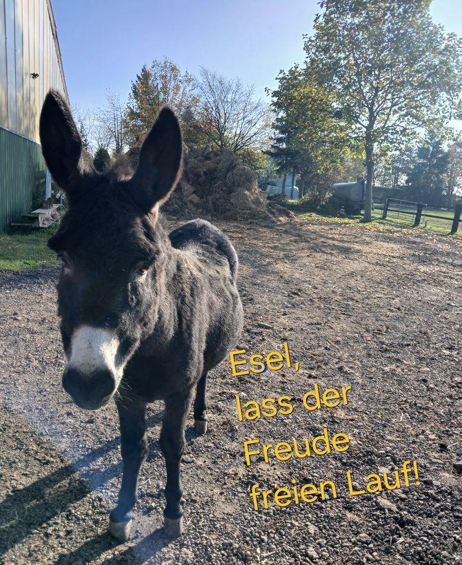 Bild 3. Advent 2024 C