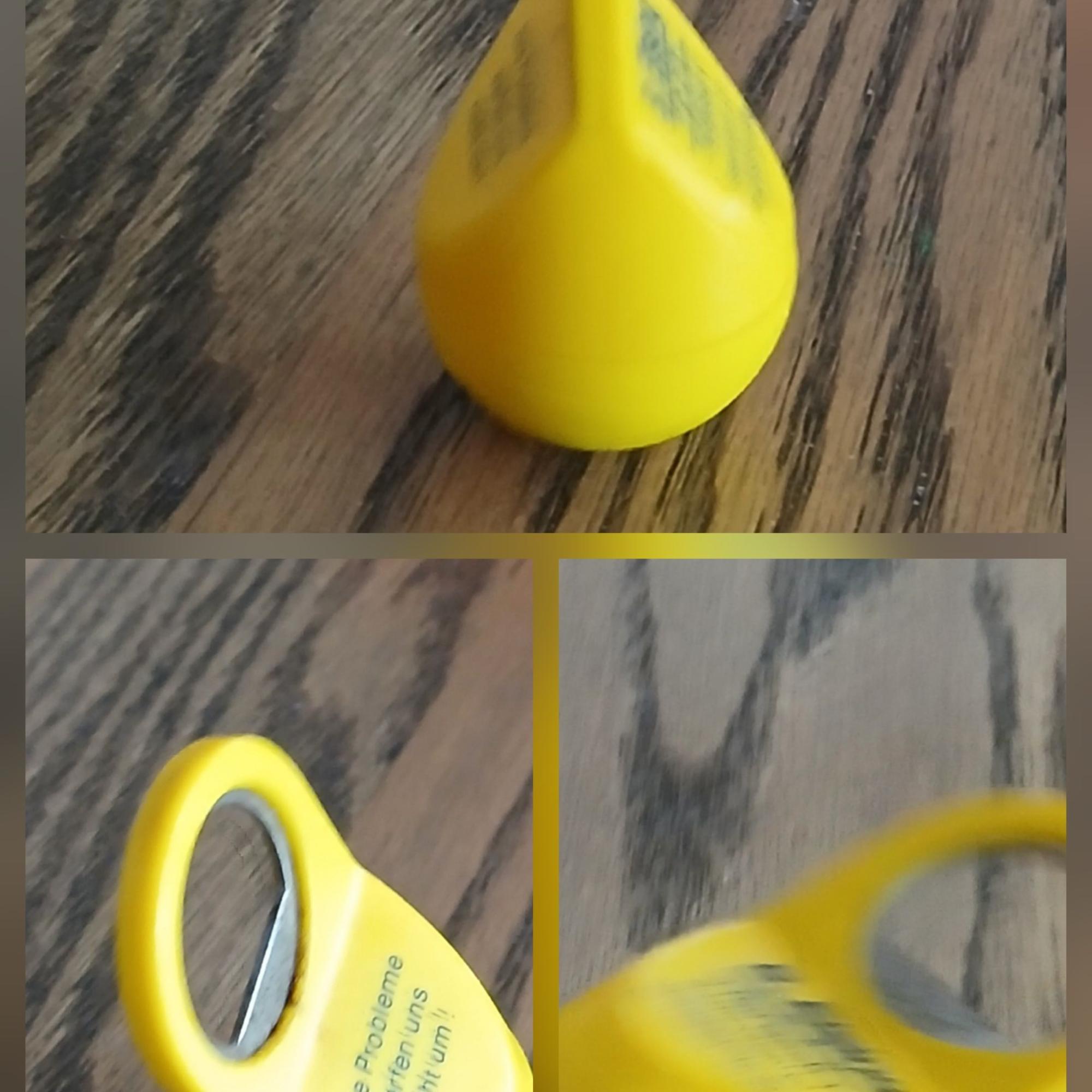 Bild 33. Sonntag im Jahreskreis C 2025