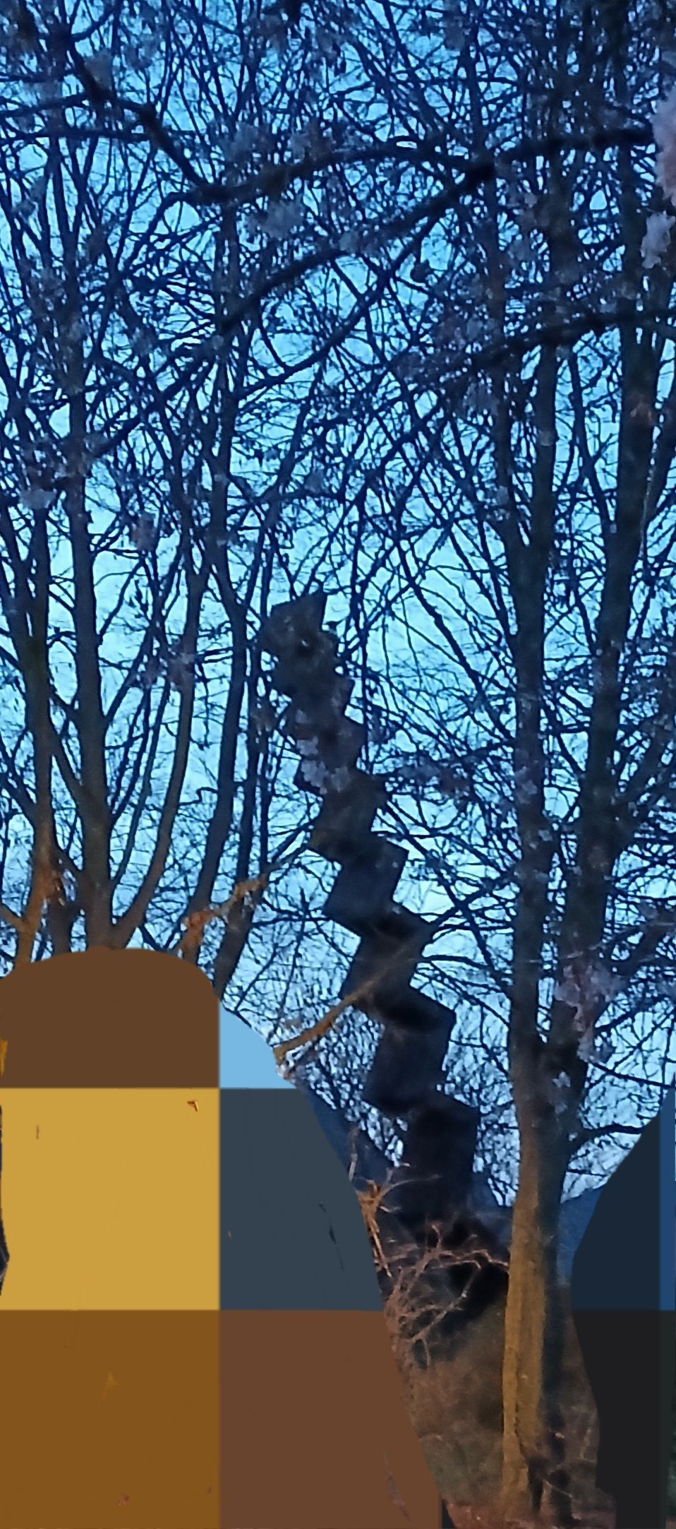 Bild Ostern 2026 (c) ejo
