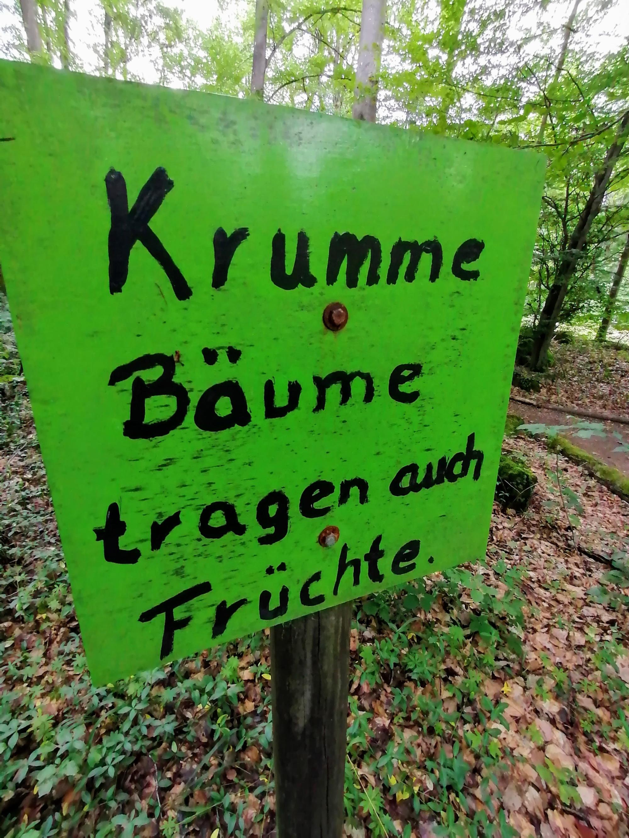 Krumme Bäume