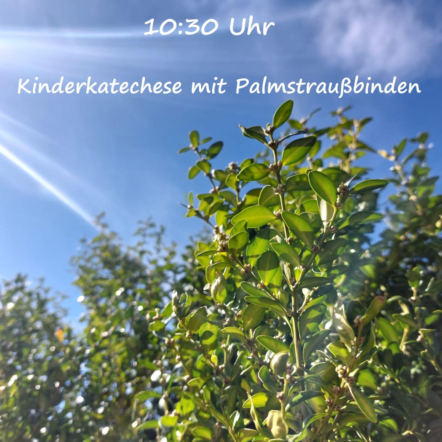 Palmsonntag Kall 2025