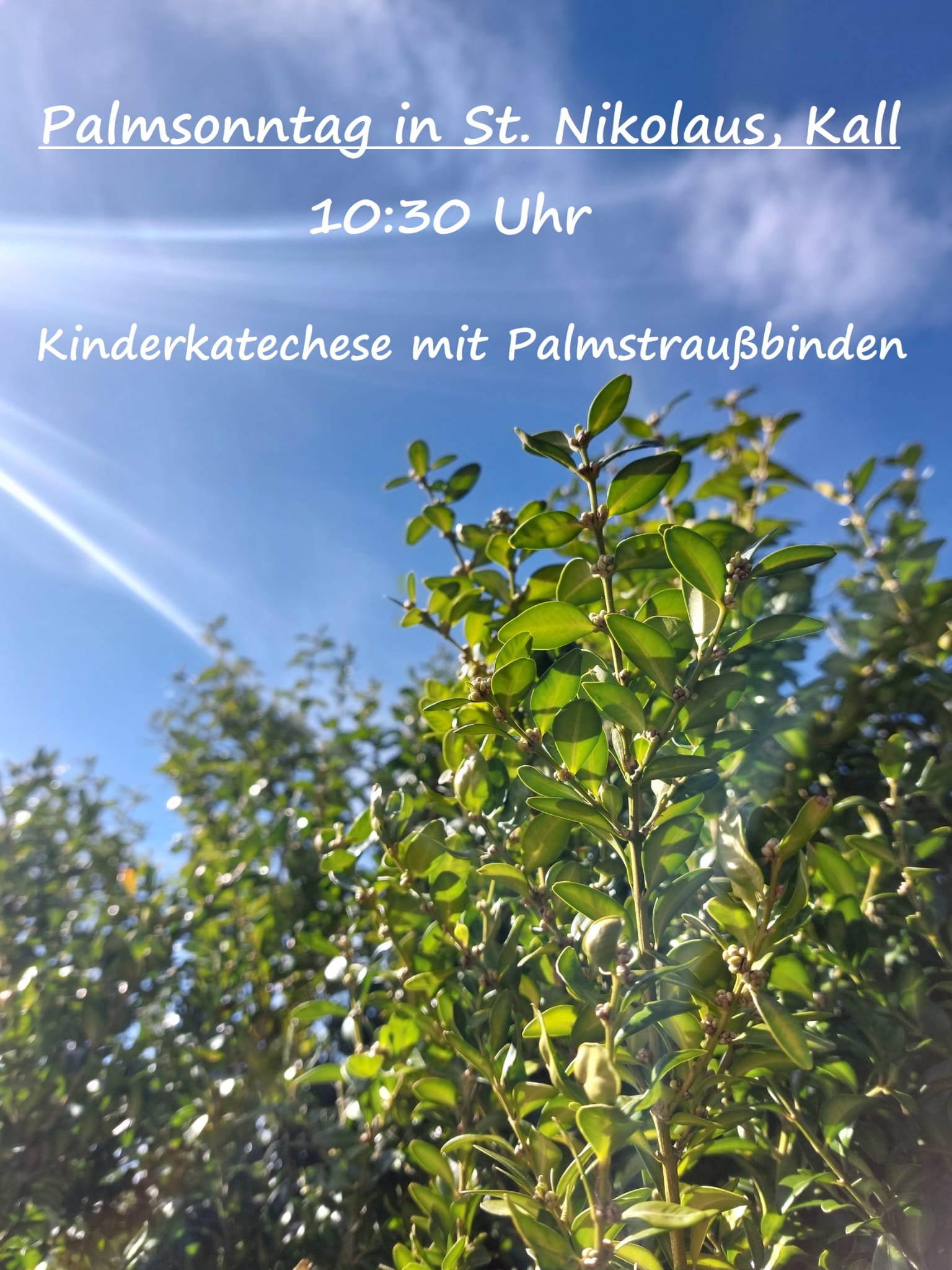 Palmsonntag Kall 2025 (c) Holle Goertz