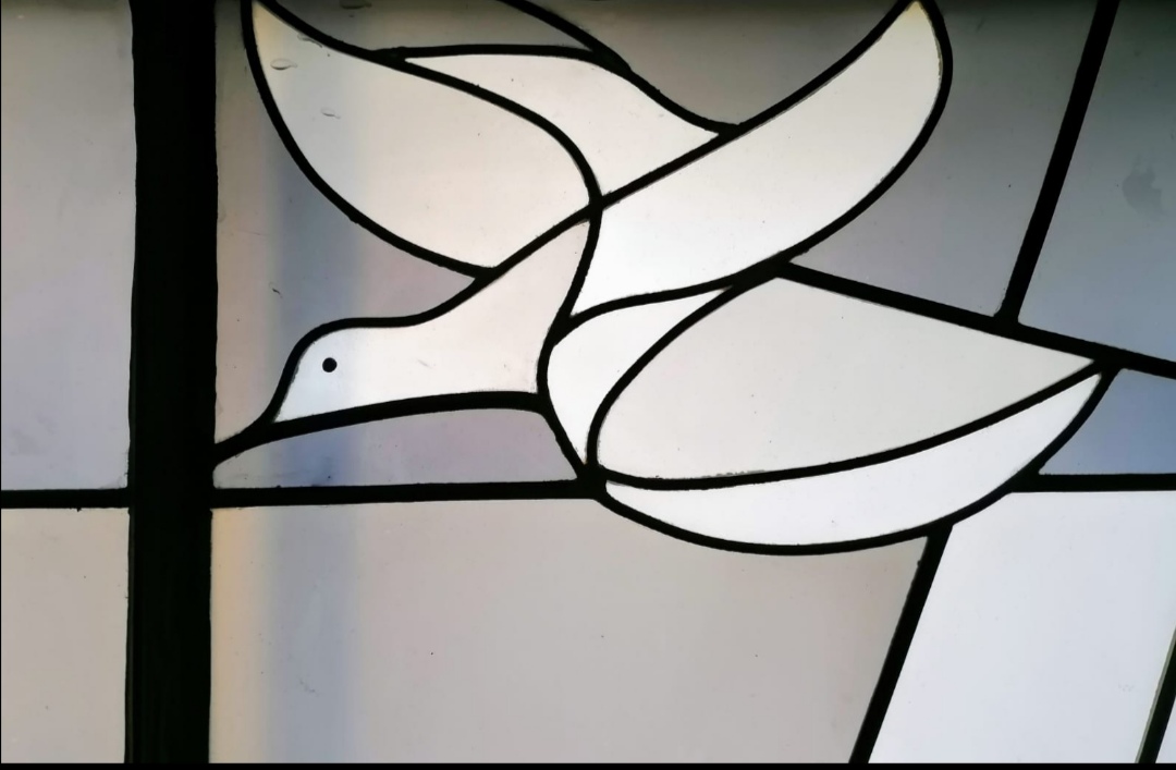 Taube Kirchenfenster Zingsheim (c) Andrea Felden